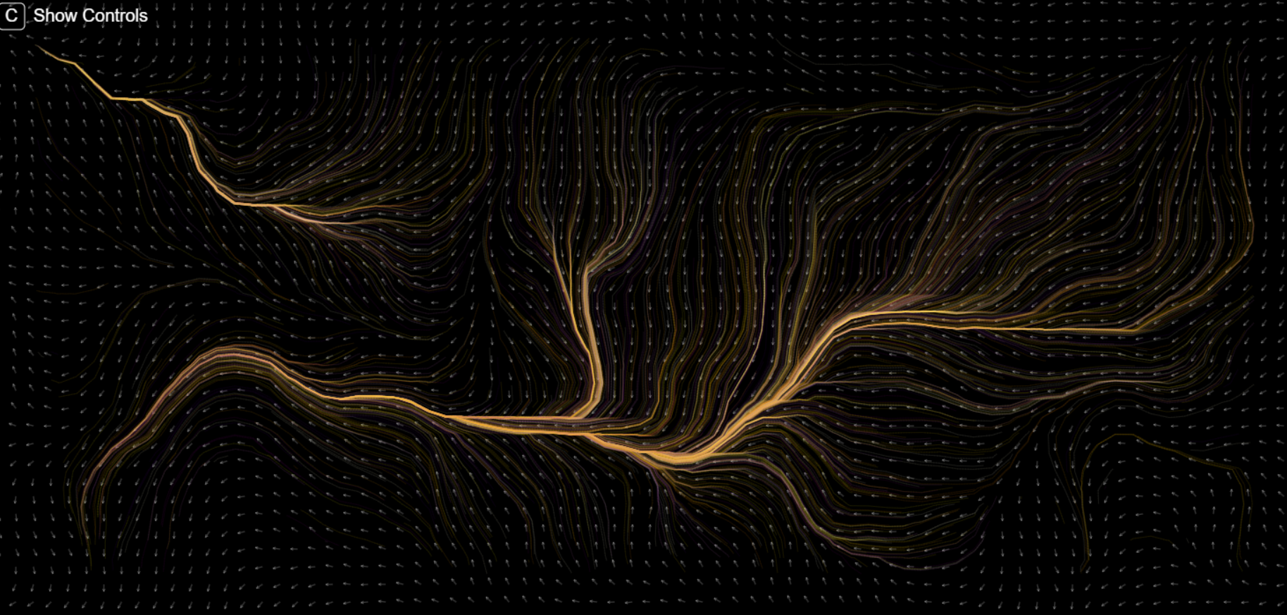 Flow Field Simulation